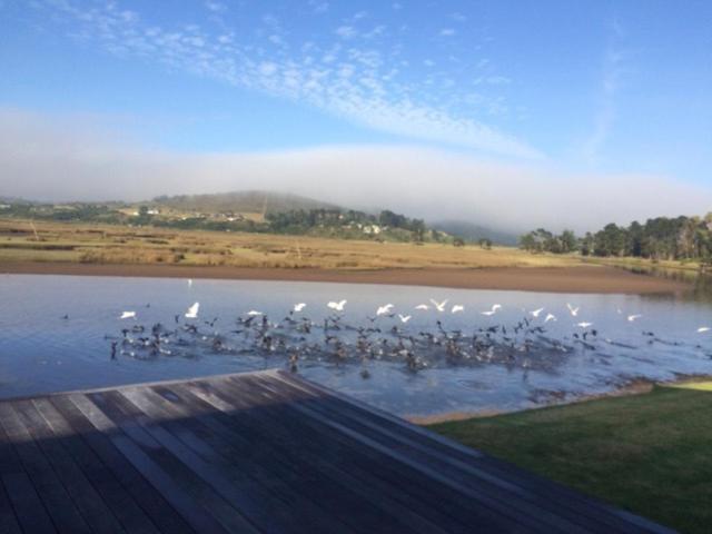 Moonriver Self Catering Plettenberg Bay Ngoại thất bức ảnh